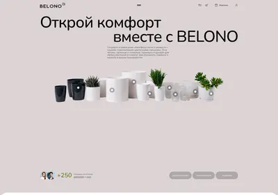 Снимок главной страницы belono.ru