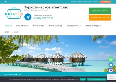 Снимок главной страницы chestrip.ru