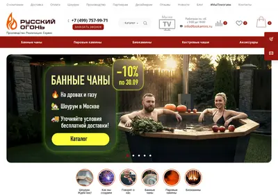 Снимок главной страницы biokamini.ru