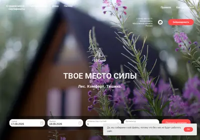 Снимок главной страницы bocamp.ru