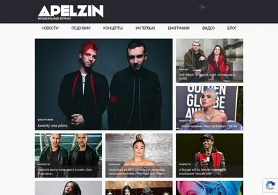 Снимок главной страницы apelzin.ru