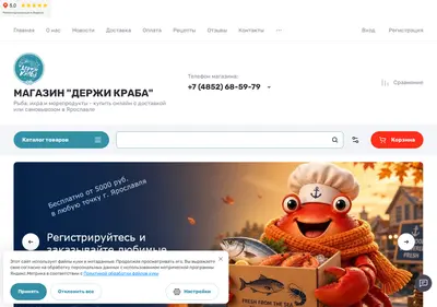 Снимок главной страницы 685979.ru