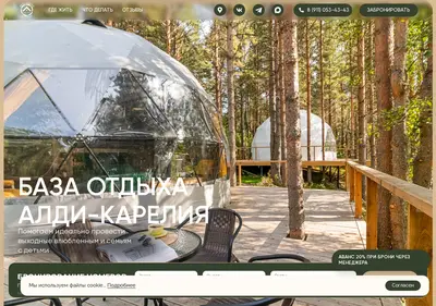 Снимок главной страницы aldi-karelia.ru