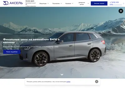 Снимок главной страницы axsel-group.ru