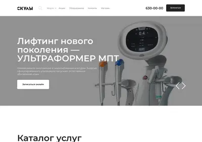 Снимок главной страницы skuli.ru