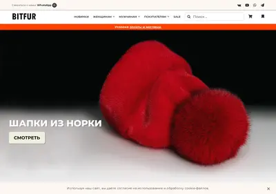 Снимок главной страницы bitfur.ru