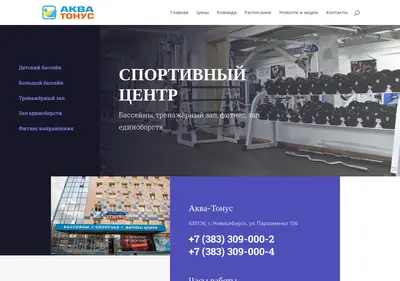 Снимок главной страницы aqua-tonus.ru