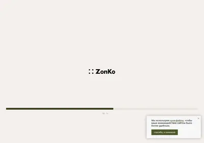 Снимок главной страницы zonko.su