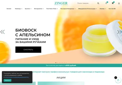 Снимок главной страницы zingerprof.ru