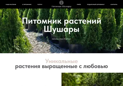 Снимок главной страницы shushary.su