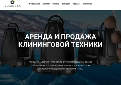 Снимок главной страницы cleanoragroup.ru