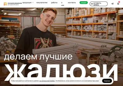 Снимок главной страницы b-solution.ru