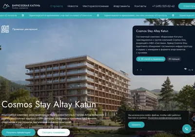 Снимок главной страницы altay-apart.ru