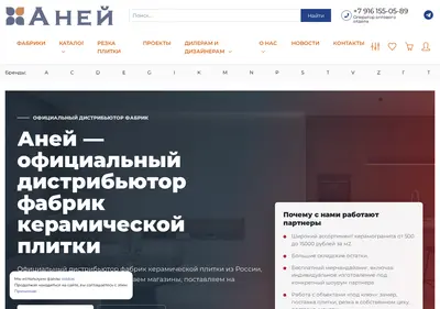 Снимок главной страницы aney.ru
