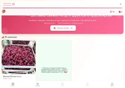 Снимок главной страницы berrygo.ru