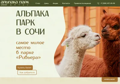 Снимок главной страницы alpaka-sochi.ru