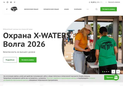 Снимок главной страницы bagira-nn.ru