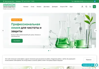 Снимок главной страницы amecon.ru
