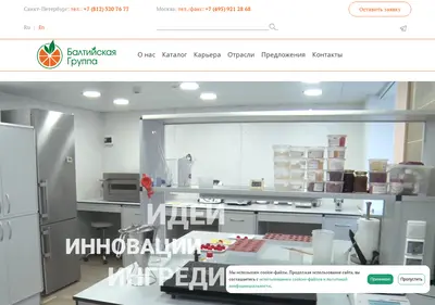 Снимок главной страницы balticgroup.ru