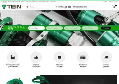 Снимок главной страницы tein.com.ru