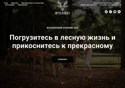 Снимок главной страницы artkolhoz-les.ru