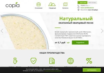 Снимок главной страницы copia.su