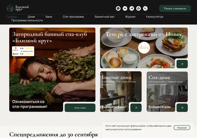 Снимок главной страницы blizkrug.ru