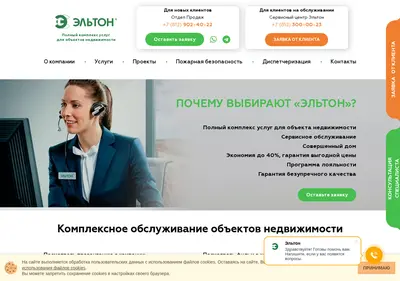 Снимок главной страницы aliton.ru