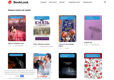 Снимок главной страницы book-look.ru