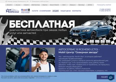 Снимок главной страницы north-star.su