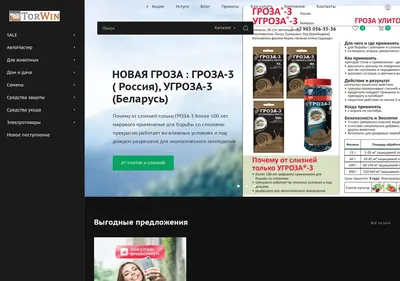 Снимок главной страницы torwin.su