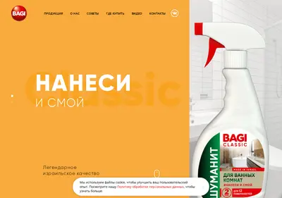 Снимок главной страницы bagibusiness.ru