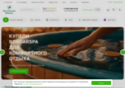 Снимок главной страницы bondarspa.ru