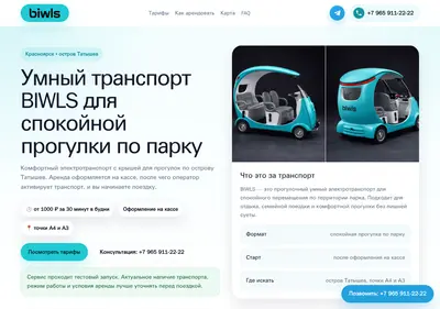 Снимок главной страницы biwls.ru