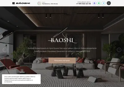 Снимок главной страницы baoshi.ru
