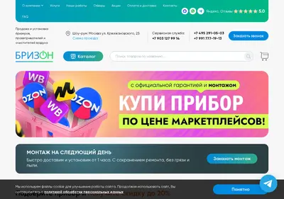 Снимок главной страницы brizon.ru