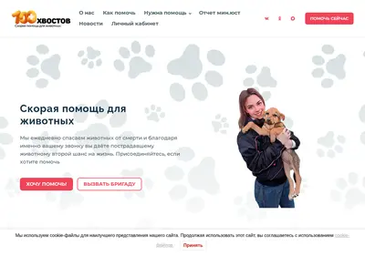 Снимок главной страницы 100tails.ru