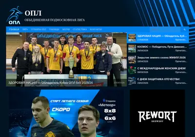 Снимок главной страницы bmfl.ru
