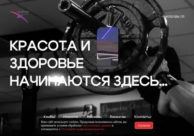 Снимок главной страницы albagym.ru