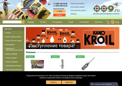 Снимок главной страницы 009.ru