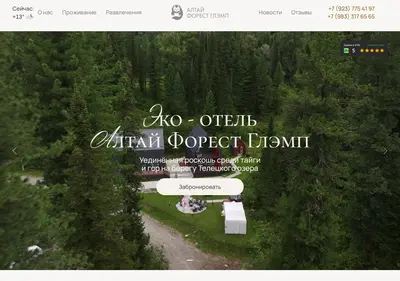 Снимок главной страницы altai-forest.ru