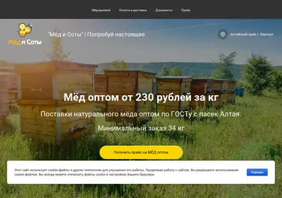 Снимок главной страницы 22bee.ru
