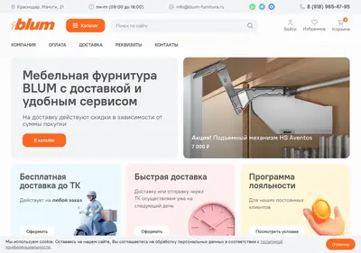 Снимок главной страницы blum-pro.ru