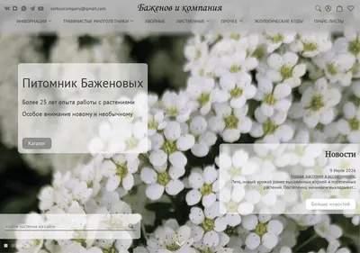 Снимок главной страницы bazhenovcompany.ru