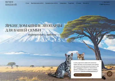 Снимок главной страницы benjoy.ru