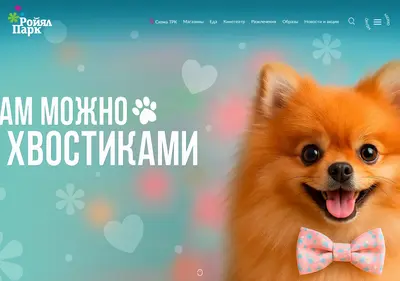 Снимок главной страницы royalpark.su