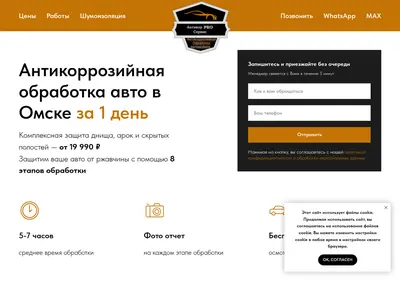 Снимок главной страницы antikorpro-omsk.ru