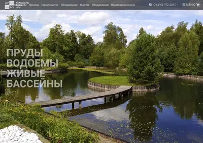 Снимок главной страницы avangard-aqua.ru