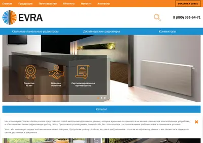 Снимок главной страницы evra.su