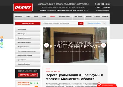 Снимок главной страницы bramy.ru